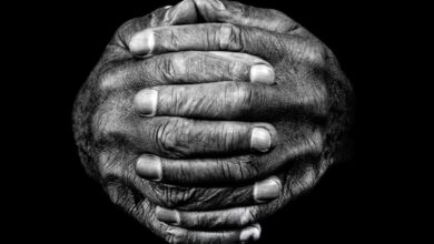 The untold story of our remarkable hands and how they made us human