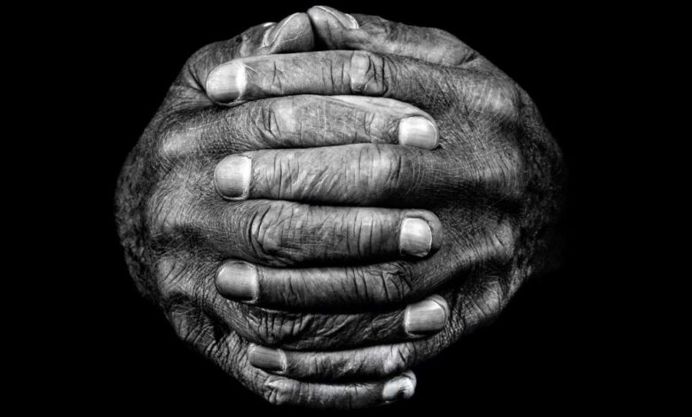 The untold story of our remarkable hands and how they made us human