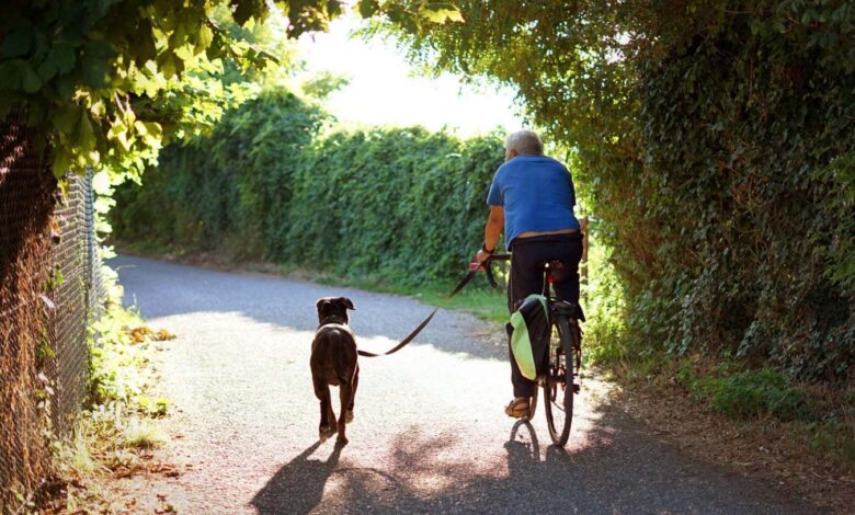 Зашто је додавање унакрсног тренинга у вашу рутину вежбања прави начин Зашто је додавање унакрсног тренинга у вашу рутину вежбања прави начин