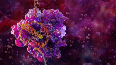 Уређивање гена које се шири у телу могло би да излечи више болести