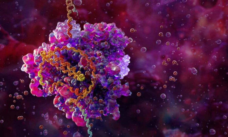 Уређивање гена које се шири у телу могло би да излечи више болести