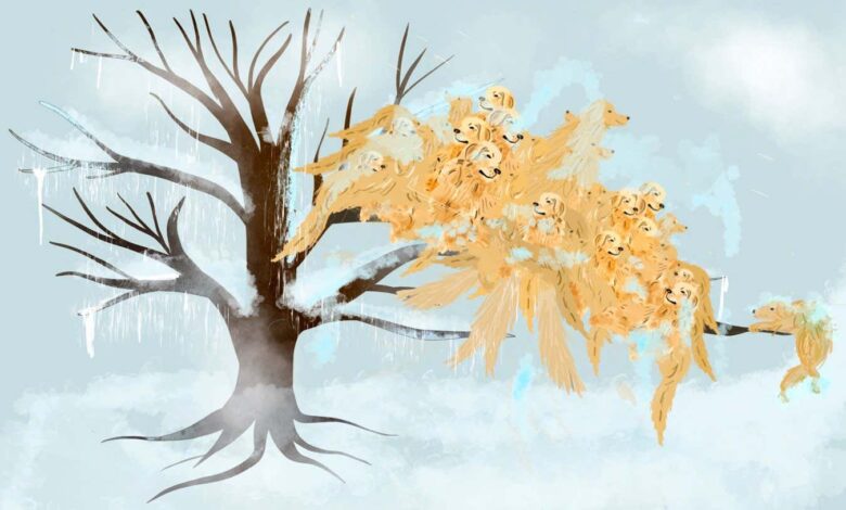 „Отприлике 109,5 златних ретривера“: нови начин мерења леда