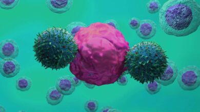 Терапија ЦАР Т-ћелијама може успорити неуродегенеративна стања као што је АЛС