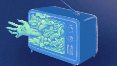 Чудне и дивне гљиве би требало да буду много више од зликоваца научне фантастике