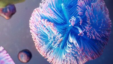 Џиновски вируси су можда живљи него што смо мислили Џиновски вируси су можда живљи него што смо мислили