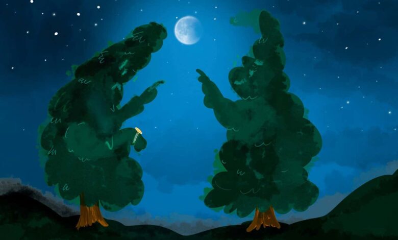 Смреке запањене (уздах) када је у питању предвиђање помрачења