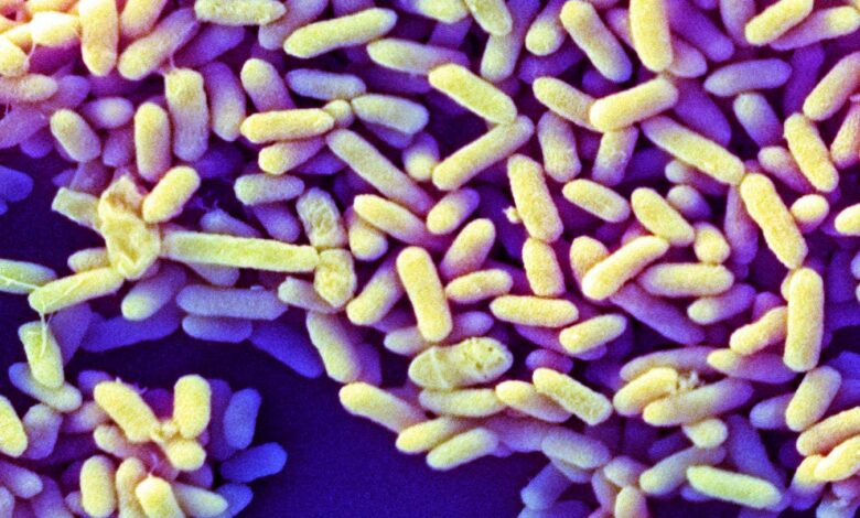 Како се микробиоми беба на Западу разликују од оних свуда другде