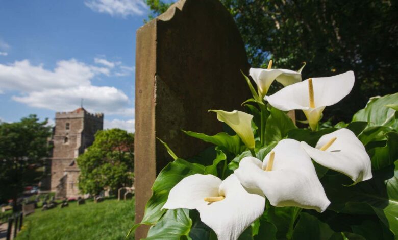 Поремећај продужене туге: Зашто неки људи не могу да престану са смрћу вољене особе