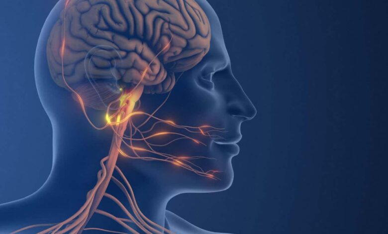 Свеже разумевање узрока мигрене открива нове мете лекова