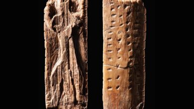 Симболи каменог доба могу потиснути најранији облик писања