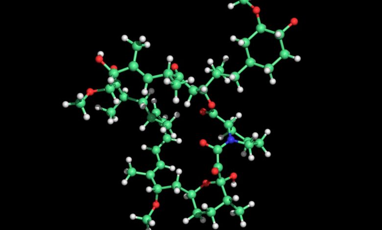 Рапамицин може додати године вашем животу, или ништа – то је лутрија Рапамицин може додати године вашем животу, или ништа – то је лутрија