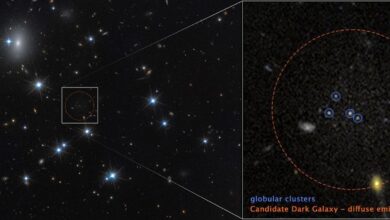 Потврђена је галаксија састављена скоро у потпуности од тамне материје