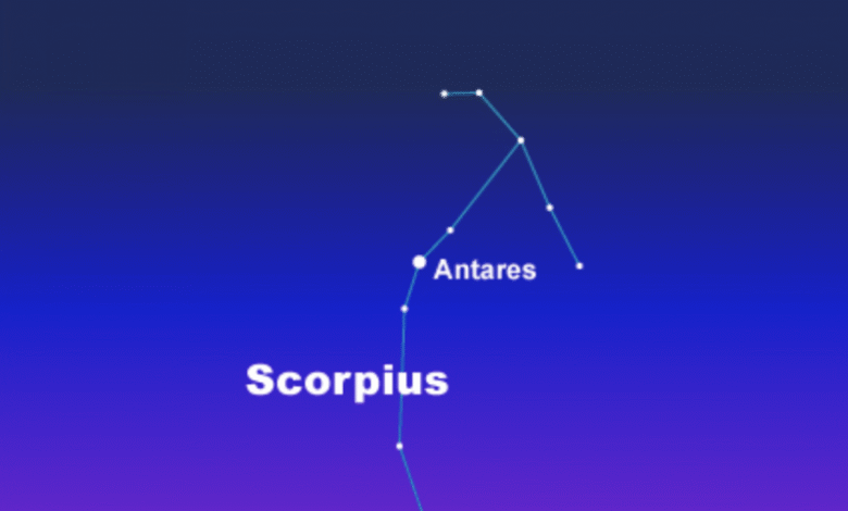 Звезде Шаула и Лесат најављују надолазеће пролеће