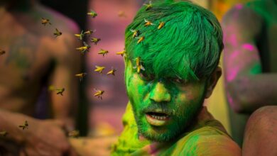 Индијски судија у крикету умро након што су се пчеле нашле на локалном мечу