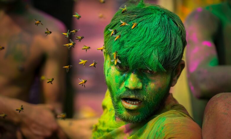 Индијски судија у крикету умро након што су се пчеле нашле на локалном мечу