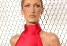 Белла Хадид о каријери усред лајмске болести