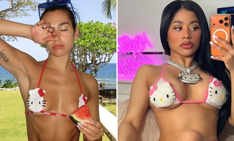 Дуа Липа вс. Хеннесси Вхо’д Иоу Ратхер?! Хелло Китти’с Едитион Дуа Липа вс. Хеннесси Вхо’д Иоу Ратхер?! Хелло Китти’с Едитион