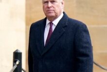 Андрев Моунтбаттен-Виндсор виђен први пут од хапшења