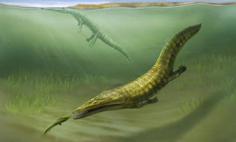 Изгубљени фосили откривају морска чудовишта која су преузела власт након највећег изумирања Земље