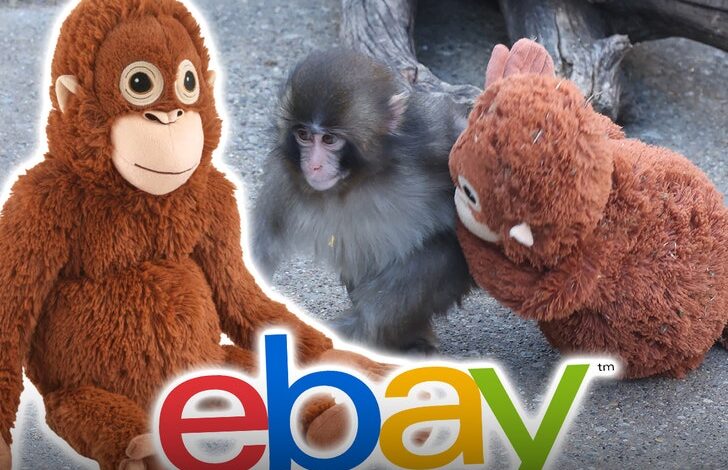 Вирусни пуњени ИКЕА мајмун се продаје на стотине на еБаиу