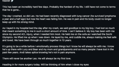 Пас Линдзи Вон угинуо је дан након њеног судара на Олимпијским играма у Милану Кортини Пас Линдзи Вон угинуо је дан након њеног судара на Олимпијским играма у Милану Кортини