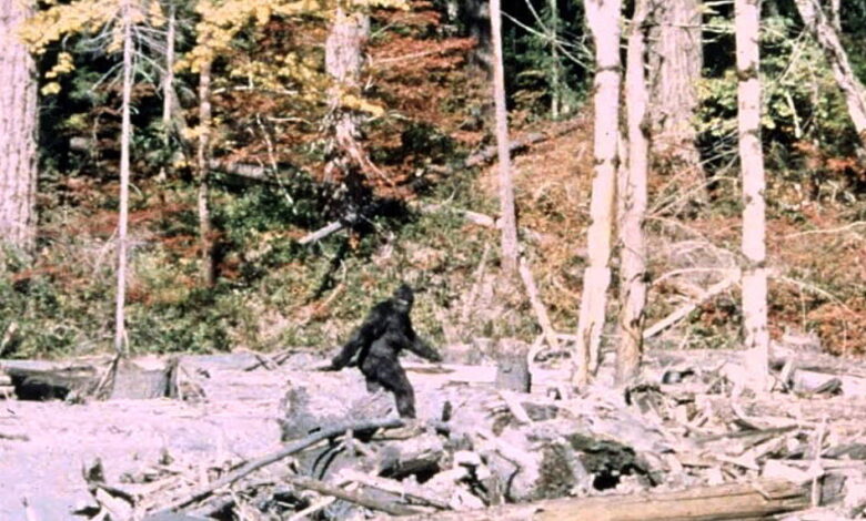 „То није једнорог“: Ови истраживачи су интервјуисали 130 ловаца на Бигфоот