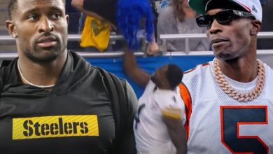 Навијач Лавова тужи ДК Меткалфа и Стилерса за 100 милиона долара због бочног сукоба