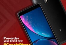 Порекло Трампа Мобилеа лежи у мексичком боксеру средње категорије