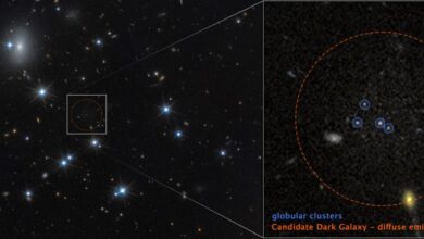 Ова галаксија је 99% тамне материје—и у основи невидљива