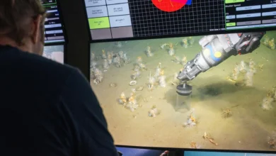 Научници откривају претка комплексног живота који воли кисеоник