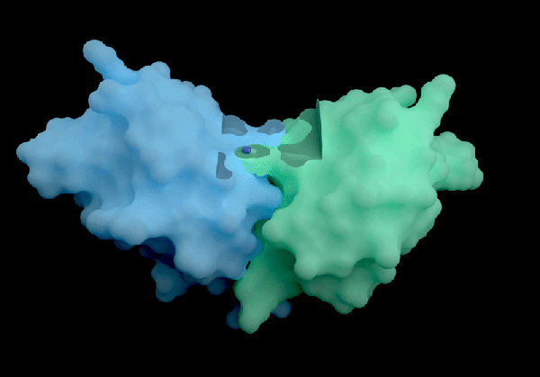 ‘Ан АлпхаФолд 4’—научници се диве ексклузивној новој вештачкој интелигенцији ДеепМинд спин-оффа