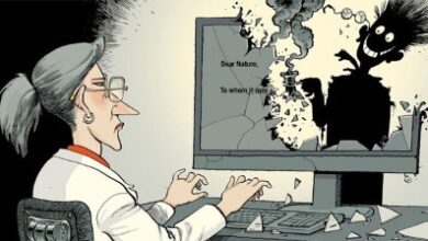 Шта могу да урадим ако је моја идеја плагирана?