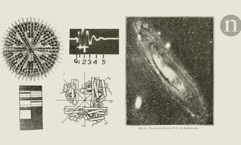 Историја хокус покуса: вештичарење кроз векове