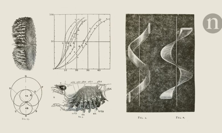 Прстенови дрвећа и слана језера дају назнаке о древним падавинама