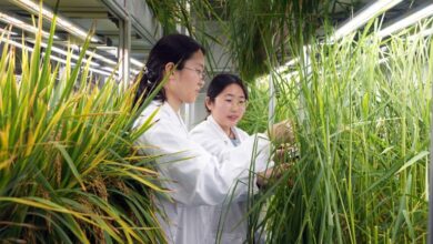 Однос Кине са страним научним силама се брзо мења