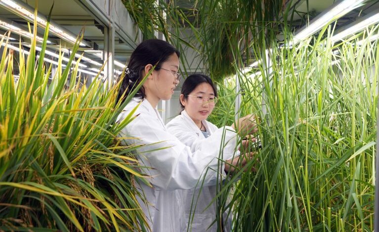 Однос Кине са страним научним силама се брзо мења Однос Кине са страним научним силама се брзо мења