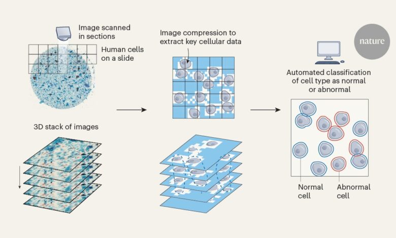 АИ нуди начин за снимање и процену клиничких узорака ћелија