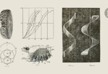 Благо научне историје могло би се сакрити наочиглед