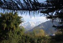 Очување биодиверзитета има проблем са доказима — време је да се то реши