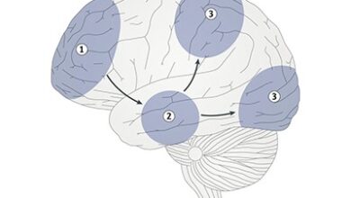 Многи људи немају менталне слике. Шта се дешава у њиховим мозговима?