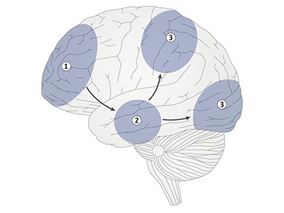Многи људи немају менталне слике. Шта се дешава у њиховим мозговима?