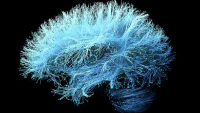 Фирма која подржава ОпенАИ да користи ултразвук за читање мисли. Да ли наука стоји?
