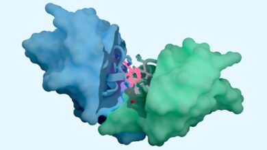 Биолози се диве новом алату за откривање АИ лекова – али детаљи су скривени