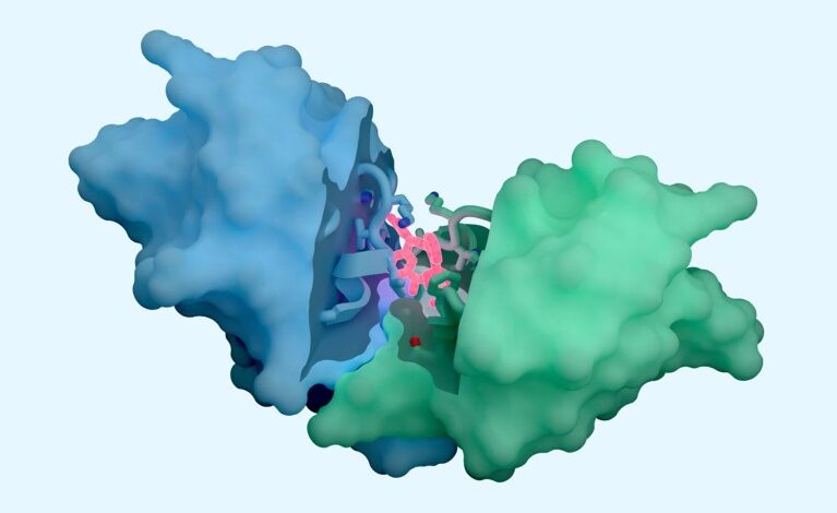 Биолози се диве новом алату за откривање АИ лекова – али детаљи су скривени