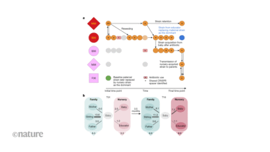 Бебе у вртићу међусобно обликују микробиоме