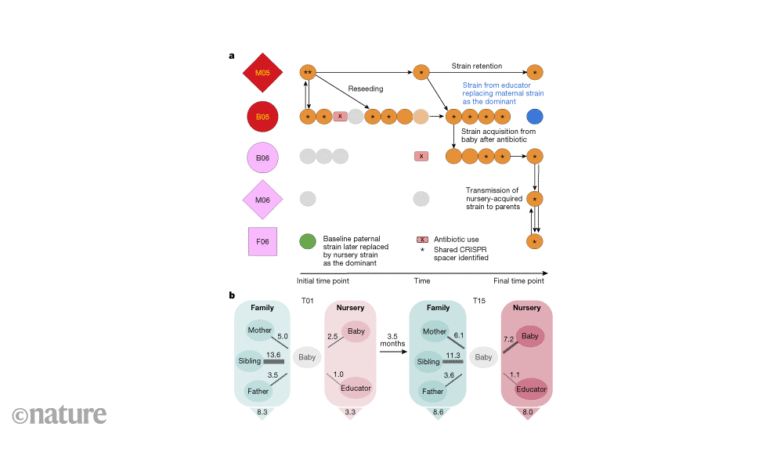 Бебе у вртићу међусобно обликују микробиоме