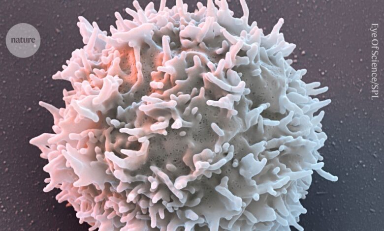 ЦАР-Т терапија пружа олакшање за децу са аутоимуним болестима