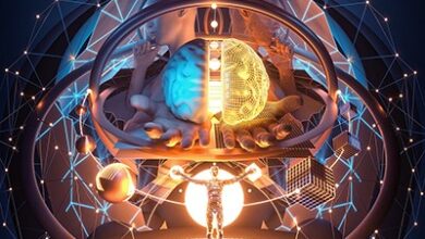 Може ли се икада разумети свест – ова страна смрти?