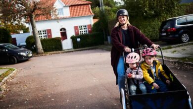 Колика је ‘казна за материнство’? У Данској то износи 120.000 долара Колика је ‘казна за материнство’? У Данској то износи 120.000 долара