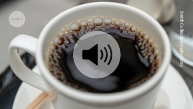 Брифинг Цхат: Кофеин успорава старење мозга, сугерише деценије података